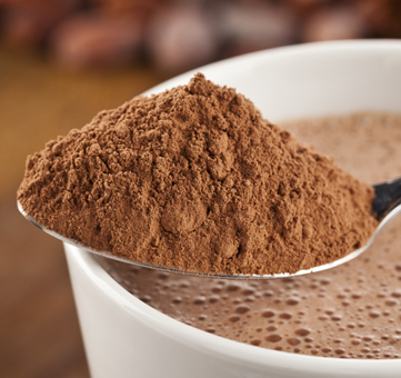 HIGH PROTEIN POWDERS