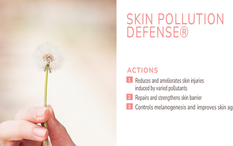 Skin Pollution Defense